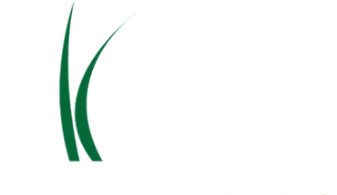 https://allscapesoh.com/drainage-landscaping-services/drainage-system/