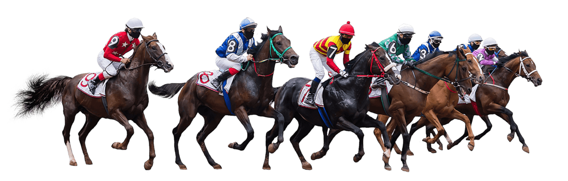 Thoroughbred race horse partnerships