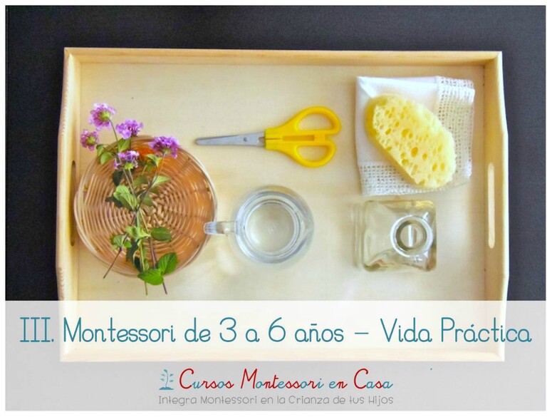 Curso "Montessri de 3 a 6 años - Vida Práctica"