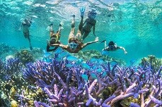 Snorkelling New Caledonia