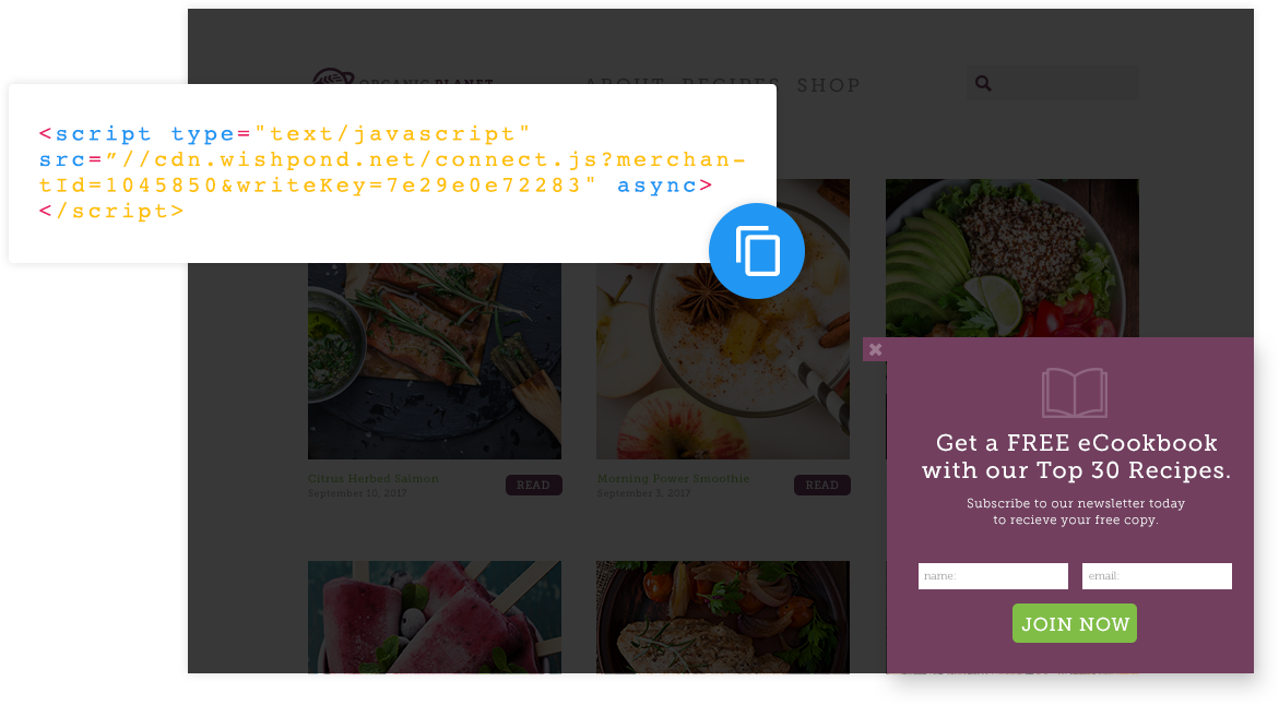 website popup embed code