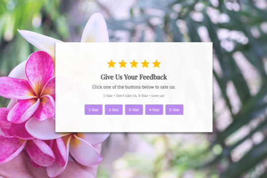 get reviews landing page